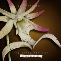 Steve Kielty - The Orkyd Project (Album Sampler) (as SCAR)