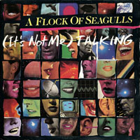 Flock Of Seagulls - (It's Not Me) Talking (7