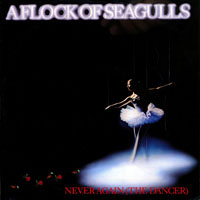 Flock Of Seagulls - Never Again (12