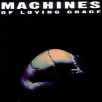 Machines Of Loving Grace - Concentration