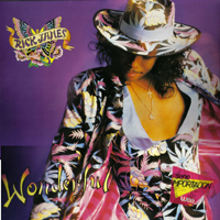 Rick James - Wonderful