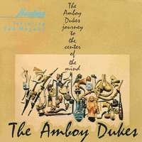 Ted Nugent's Amboy Dukes - Journey To The Center Of The Mind