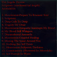 Angelic Process - Solipsistic