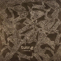 Tunng - Woodcat (Single)