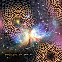 KinDzaDza - Insoluble (Promo)