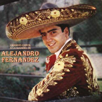 Alejandro Fernandez - Grandes Exitos A La Manera De Alejandro Fernandez