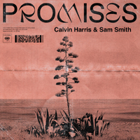 Calvin Harris - Promises (Single)