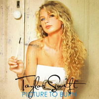 Taylor Swift - Picture To Burn (Single)