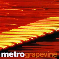 Metro (USA) - Grapevine