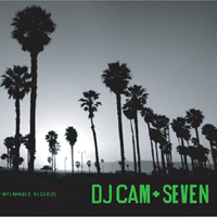 DJ Cam - Seven (The Colour Of Spring)