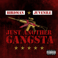 Birdman - Just Another Gangsta