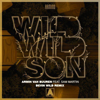 Armin van Buuren - Armin Van Buuren Feat. Sam Martin - Wild Wild Son (Devin Wild Extended Remix) [Single]