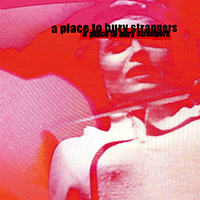 Place To Bury Strangers - Missing You (Single)
