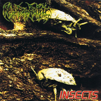 Nyctophobic - Insects