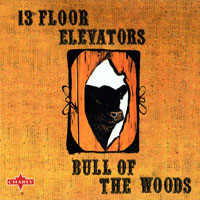 13th Floor Elevators - Bull Of The Woods (Remastered 2004)