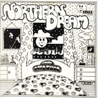 Bill Nelson - Northern Dream