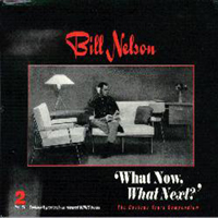 Bill Nelson - What Now, What Next (CD 2)