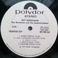 Roy Buchanan - Roy Buchanan And The Snakestretchers (LP)