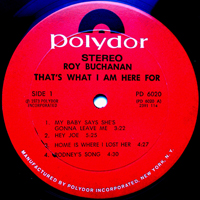 Roy Buchanan - That's What I Am Here For (LP)