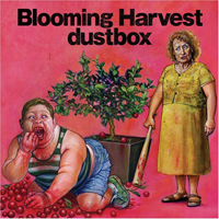 Dustbox - Blooming Harvest
