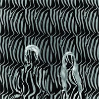 Beach House - Zebra (EP)