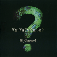 Billy Sherwood - What Was The Question