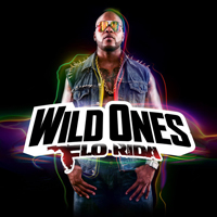 Flo Rida - Wild Ones (iTunes Bonus)