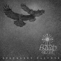 Altar Shadows - Speckledy Falcons
