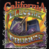 Electric Prunes - California
