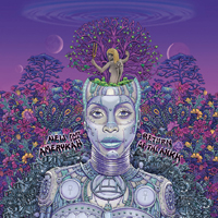 Erykah Badu - New Amerykah Part Two: Return Of The Ankh