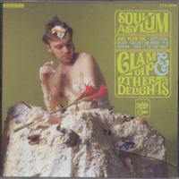 Soul Asylum - Clam Dip & Other Deliights