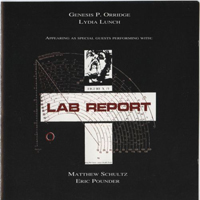 Lab Report - Unhealthy (Split)