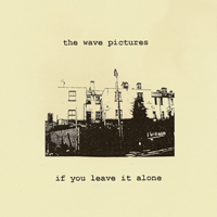 Wave Pictures - If You Leave It Alone