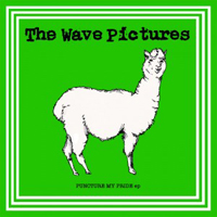 Wave Pictures - Puncture My Pride