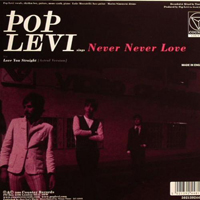 Pop Levi - Never Never Love