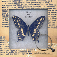 Library Tapes - Birch And Meadow: Butterflies And Graves (feat. Sara Forslund)