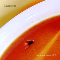Gazpacho - Get It While It's Cold (37:C)