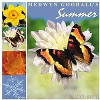 Medwyn Goodall - Four Seasons: Summer