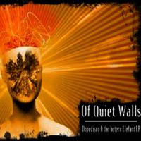 Of Quiet Walls - Dopedisco And The Hetero Elephant