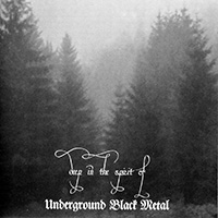 Hordagaard - Deep In The Spirit Of Underground Black Metal (split)