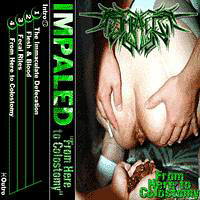 Impaled - From Here To Colostomy (demo)