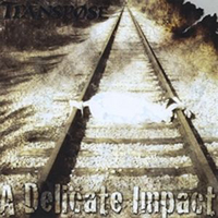 Transpose - A Delicate Impact