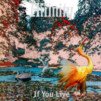 Affinity (GBR) - If You Live (LP)