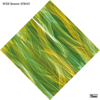 Wild Beasts - Stray (Single)