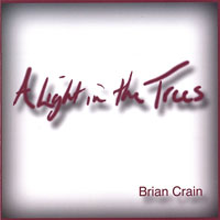 Brian Crain & Dakota Symphony Orchestra - A Light In The Trees