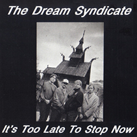Dream Syndicate - It's Too Late To Stop Now