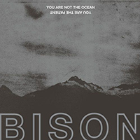 Bison B.C. - You Are Not The Ocean You Are The Patient