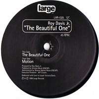 Roy Davis Jr. - The Beautiful One (Single)