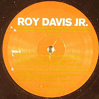 Roy Davis Jr. - If You Wanna / I Know What You're Thinking (EP)