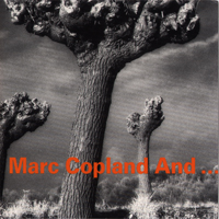 Marc Copland Trio - Marc Copland and ...